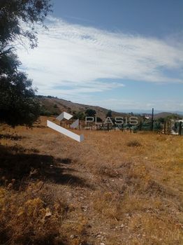 Οικόπεδο 7.000τ.μ. για πώληση-Καλύβια θορικού