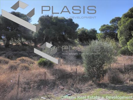 Οικόπεδο 10.000τ.μ. για πώληση-Καλύβια θορικού