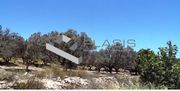 Land plot 4.000sqm for sale-Markopoulo