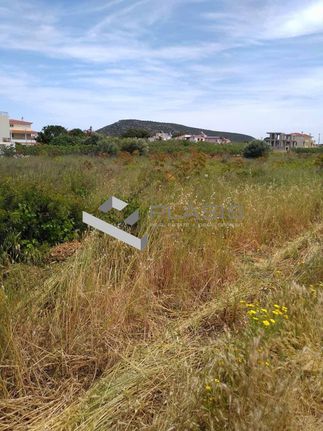 Οικόπεδο 810 τ.μ. για πώληση, Αττική - Υπόλοιπο, Μαρκόπουλο