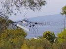 Land plot 750sqm for sale-Saronida