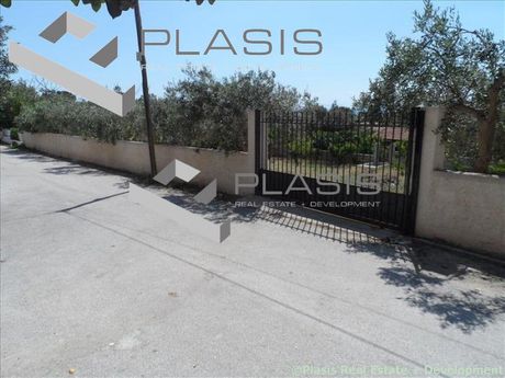 Οικόπεδο 850τ.μ. για πώληση-Ανάβυσσος