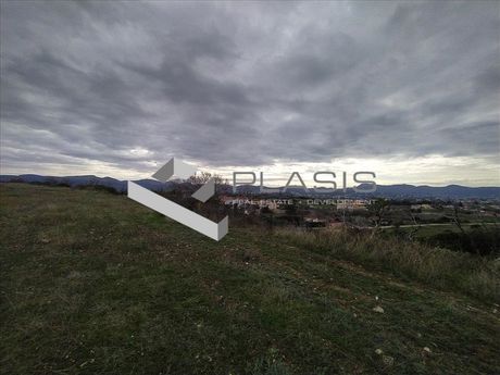 Οικόπεδο 18.700τ.μ. για πώληση-Ανάβυσσος