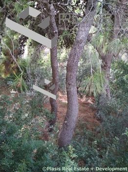 Οικόπεδο 810τ.μ. για πώληση-Σαρωνίδα