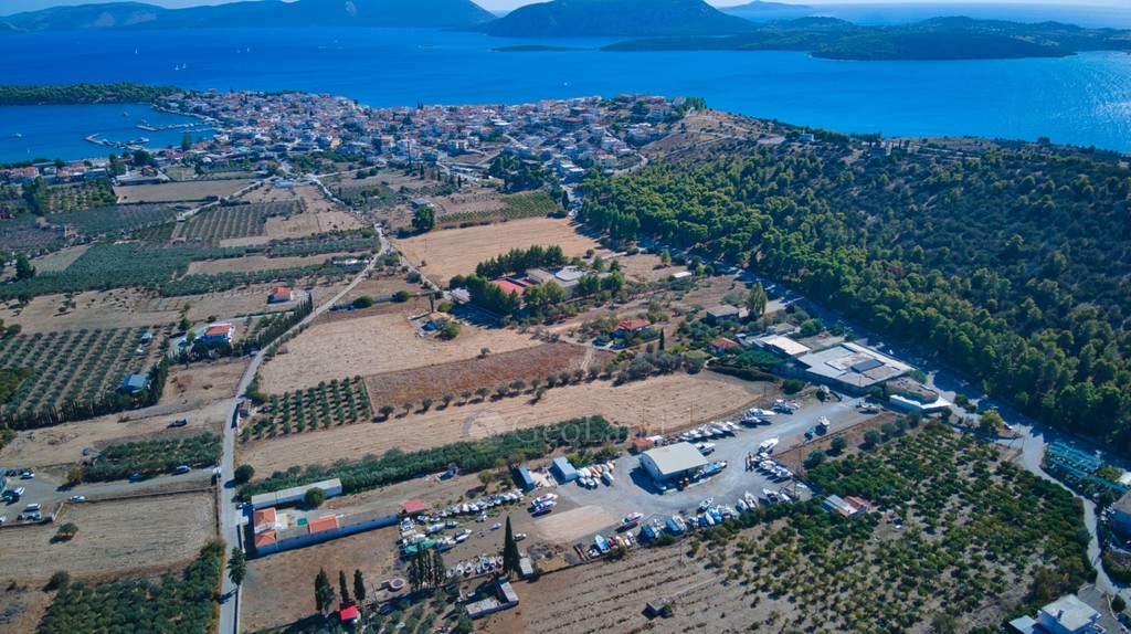 Αγροτεμάχια 10.500 τ.μ. προς πώληση, Αργολίδα, Ερμιόνη