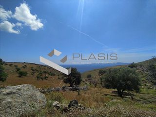 Οικόπεδο 28.000 τ.μ. προς πώληση, Κέα-thumb-11