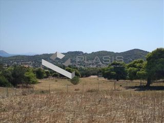 Οικόπεδο 2.400 τ.μ. για πώληση