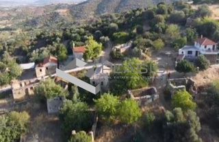 Οικόπεδο 2.603 τ.μ. για πώληση, Εύβοια, Δύστος-thumb-1