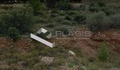 Land plot 705sqm for sale-Pikermi