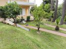 Detached home 330sqm for sale-Pikermi