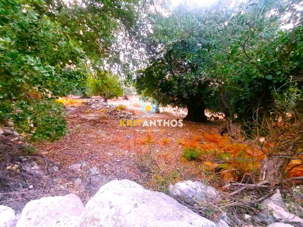 Οικόπεδο 6.537 τ.μ. πρός πώληση, Ν. Ρεθύμνου, Νικηφόρος Φωκάς