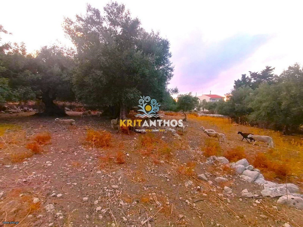 Οικόπεδο 6.537 τ.μ. πρός πώληση, Ν. Ρεθύμνου, Νικηφόρος Φωκάς