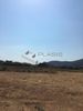 Land plot 800sqm for sale-Markopoulo