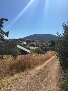 Οικόπεδο 4.050τ.μ. για πώληση-Μαρκόπουλο