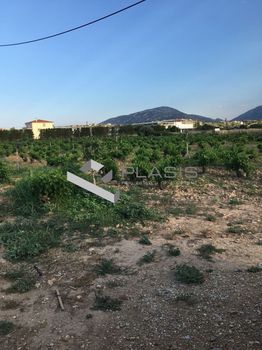 Οικόπεδο 12.500τ.μ. για πώληση-Μαρκόπουλο