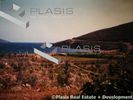 Land plot 25.000sqm for sale-Chios