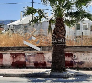 Οικόπεδο 1.000τ.μ. για πώληση-Μαρκόπουλο