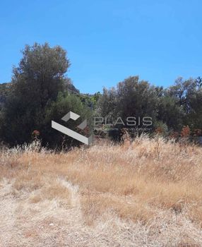 Οικόπεδο 539τ.μ. για πώληση-Μαρκόπουλο