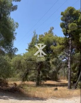 Parcel 4.015sqm for sale-Sithonia » Vourvourou