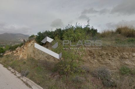 Οικόπεδο 3.060τ.μ. για πώληση-Πικέρμι