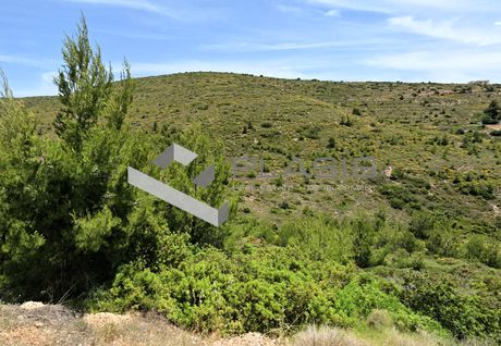 Οικόπεδο 323τ.μ. για πώληση-Ανθούσα