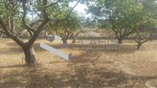 Land plot 13.000sqm for sale-Keratea