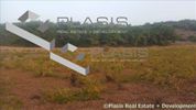 Land plot 18.000sqm for sale-Keratea