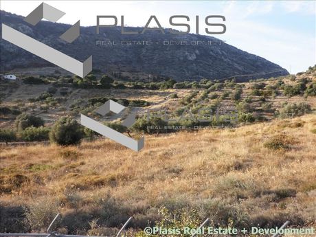 Οικόπεδο 4.100 τ.μ. για πώληση