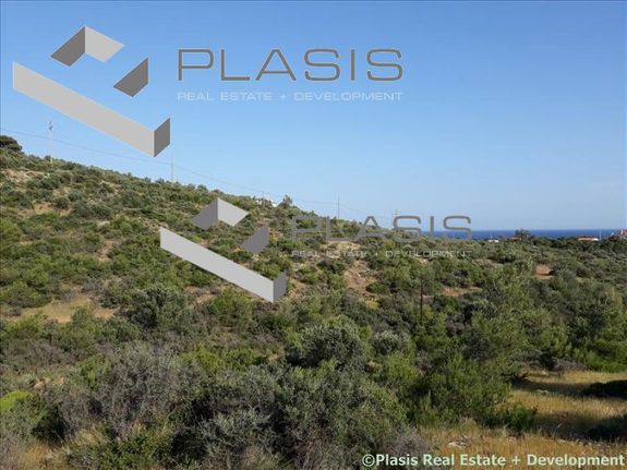 Land plot 4.650 sqm for sale, Rest Of Attica, Sounio