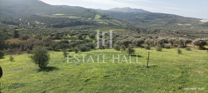 Αγροτεμάχια 7.000 τ.μ. πρός πώληση, Ν. Ηρακλείου, Επισκοπή