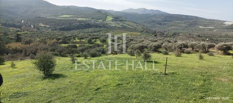 Αγροτεμάχια 7.000 τ.μ. για πώληση
