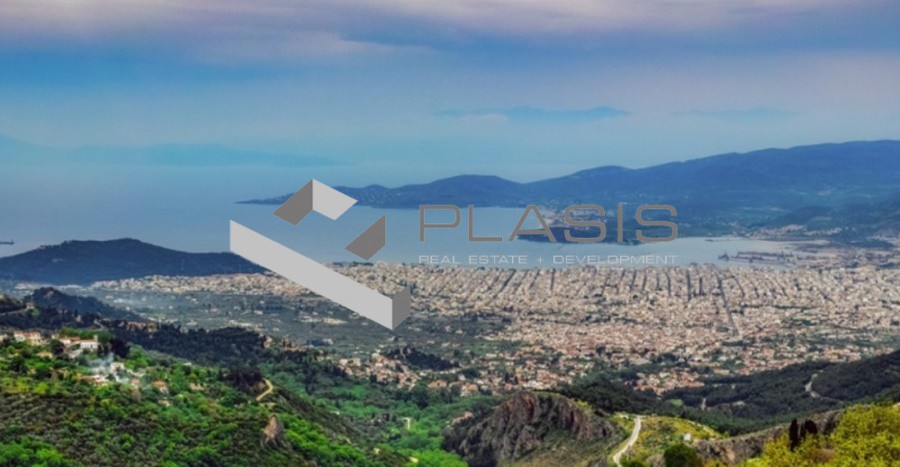 Οικόπεδο 4.320 τ.μ. προς πώληση, Σταγιάτες
