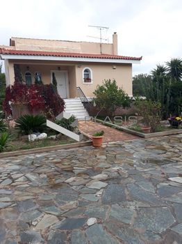 Μονοκατοικία 245 τ.μ. για πώληση