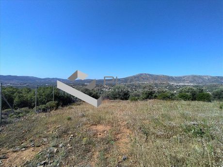 Land plot 10.000sqm for sale-Keratea