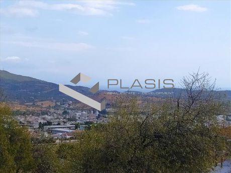 Οικόπεδο 5.000τ.μ. για πώληση-Κερατέα