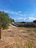 Land plot 1.021sqm for sale-Artemida (Loutsa)