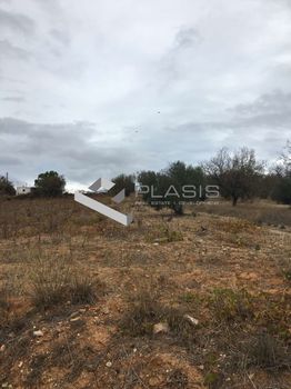 Οικόπεδο 6.500τ.μ. για πώληση-Μαρκόπουλο