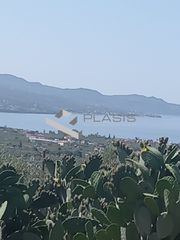 Οικόπεδο 4.208 τ.μ. για πώληση, Μεσσηνία, Καλαμάτα-thumb-6