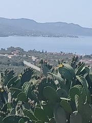 Οικόπεδο 4.208 τ.μ. για πώληση, Μεσσηνία, Καλαμάτα-thumb-3