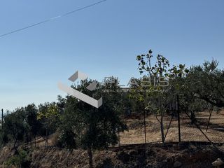 Οικόπεδο 4.208 τ.μ. για πώληση, Μεσσηνία, Καλαμάτα-thumb-2