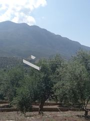 Οικόπεδο 4.208 τ.μ. για πώληση, Μεσσηνία, Καλαμάτα-thumb-5