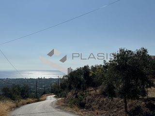 Οικόπεδο 4.208 τ.μ. για πώληση