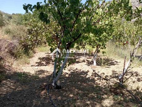 Land plot 1.000sqm for sale-Tilisos » Moni