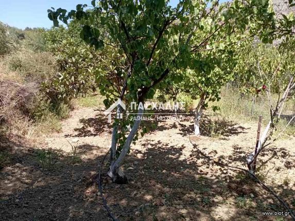 Οικόπεδο 1.000 τ.μ. για πώληση, Ν. Ηρακλείου, Τύλισος