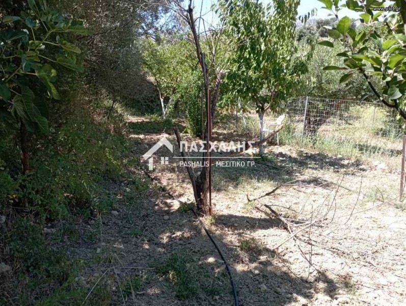 Οικόπεδο 1.000 τ.μ. προς πώληση, Μονή Τυλίσου