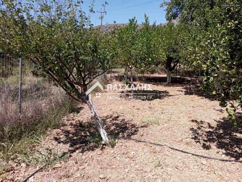 Οικόπεδο 1.000 τ.μ. προς πώληση, Μονή Τυλίσου