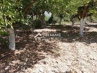 Οικόπεδο 1.000 τ.μ. για πώληση, Ν. Ηρακλείου, Τύλισος-thumb-3