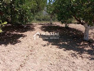 Οικόπεδο 1.000 τ.μ. για πώληση, Ν. Ηρακλείου, Τύλισος-thumb-4