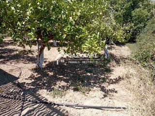 Οικόπεδο 1.000 τ.μ. για πώληση, Ν. Ηρακλείου, Τύλισος-thumb-8