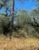 Οικόπεδο 372τ.μ. για πώληση-Αργυρούπολη » Κέντρο
